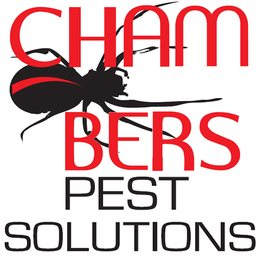 Pest Control Perth LOGO-APP點子