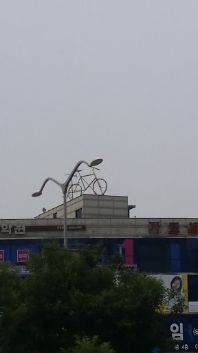 대형 자전거