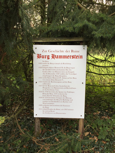 Geschichte Burg Hammerstein