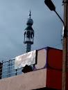 Vardhrajnagar Mosque