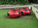 Giant Red Shells