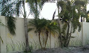 Palm and Seagrass Mural 2
