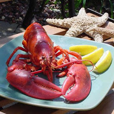 Grilled Lobster