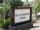 Blackberry Farm Park