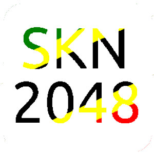 SKN2048.apk 1.0
