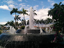 Palms Fountain