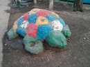 Rock Turtle