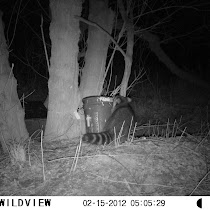 Wildlife Feeders of NC, SC, WV, KY, VA, DC & NJ