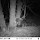 Wildlife Feeders of NC, SC, WV, KY, VA, DC & NJ