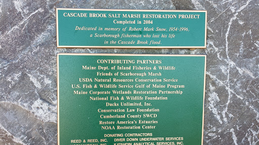 Cascade Brook Salt Marsh Restoration