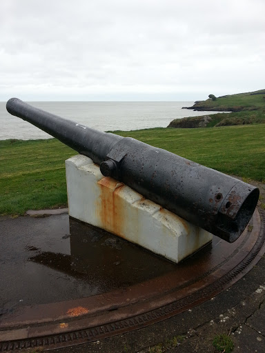 Rotating Cannon of Wicklow