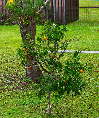 [Gympie 23rd July 2008 002a_small[4].jpg]