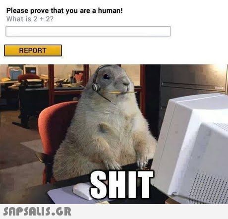 Please prove that you are a human! What is 2+ 2? REPORT SHIT 