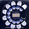 Paystations - Western Electric 161C loc W5 9