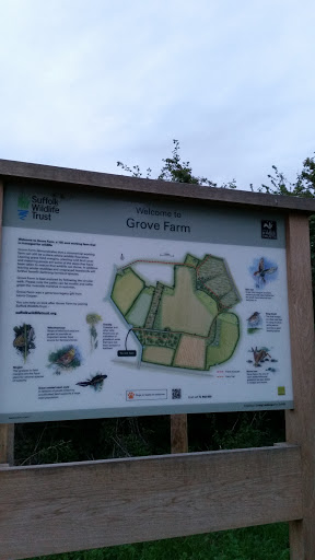 Grove Farm 