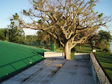 PA260020.JPG