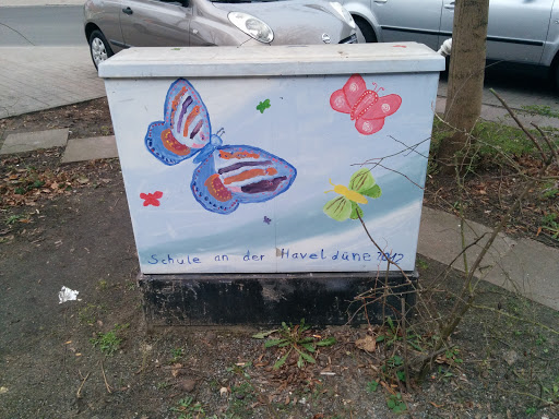 Schmetterlinge so Bunt Und Schön