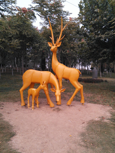 The Deers