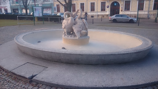 fontána Před Radnicí 