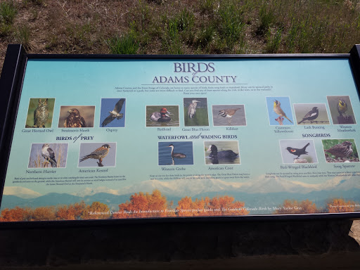 Birds Of Adams County