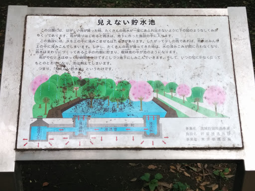 Cherry Blossom Watering Sign