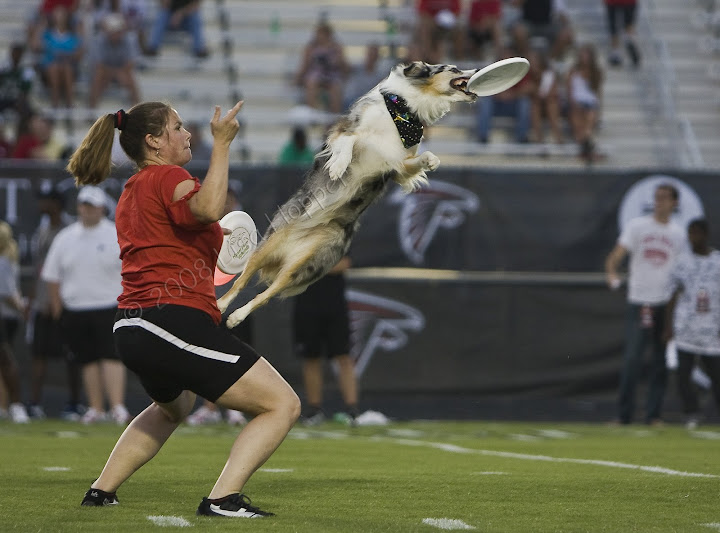 IMAGE: http://lh3.ggpht.com/Lavanut/SJZy1dML03I/AAAAAAAABqk/HBEG0OLanGM/IMG_0869.jpg?imgmax=720