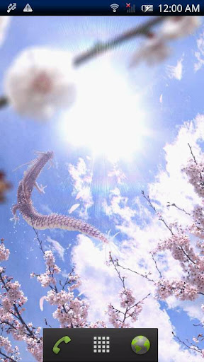 桜龍神と太陽