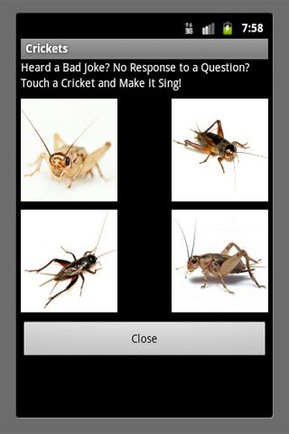 【免費娛樂App】Bad Joke Crickets Sound-APP點子