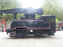 Preserved Crane Steam Locomotive 1083