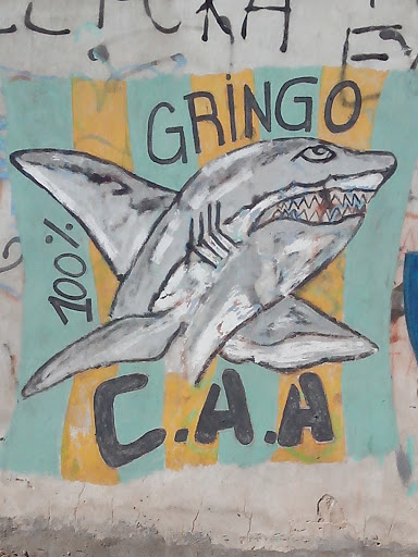 Mural Tiburón Gringo