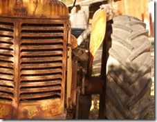 Wheeler Farms 034