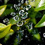 by Julie Michelena - Landscape & Nature Flowers & Plants