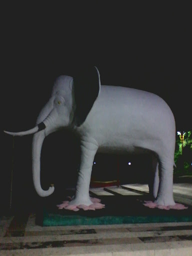White Elepanth at Kenjeran