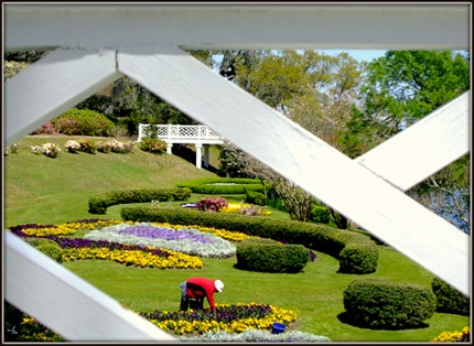 [Orton Scroll Garden_500[6].jpg]