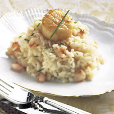 Seared Scallops on Shrimp and Truffle Risotto
