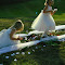 LG - Annie's flower girls after.jpg
