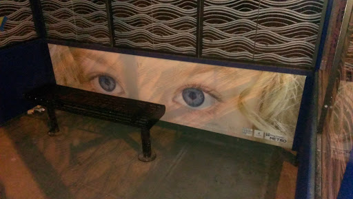 Behind Blue Eyes Transit Mural