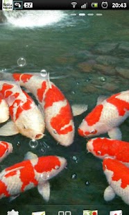 How to mod Koi live wallpaper 1.0.4 apk for pc