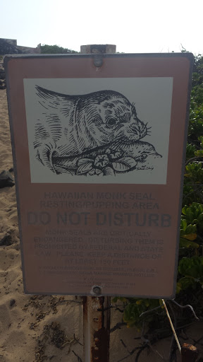 Hawaiian Monk Seal Pupping Area