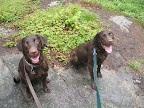 Shelby and Oscar 2008 Adirondacks 002.jpg