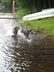 Shelby and Oscar 2008 Adirondacks 026.jpg