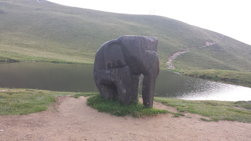 Elefante Del Lago
