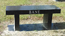Bane Memorial Bench