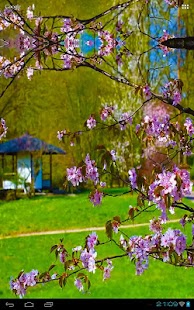 How to install Zen Garden House Sakura 1.4.9 apk for android