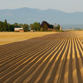 by Kirsten Morse - Landscapes Prairies, Meadows & Fields