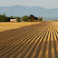 by Kirsten Morse - Landscapes Prairies, Meadows & Fields