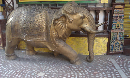 Elephant at Culture Curry