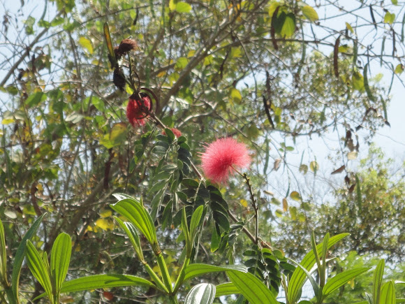 Spotting Image 1