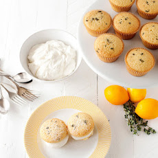 Lemon Thyme Cupcakes with Honey Cream