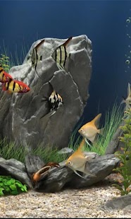 How to mod Aquarium Live wallpaper lastet apk for bluestacks
